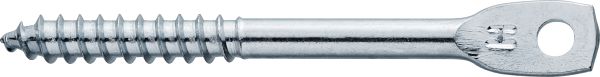 EL WS Eye lag screws