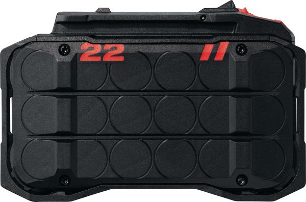 B 22-255 Nuron battery